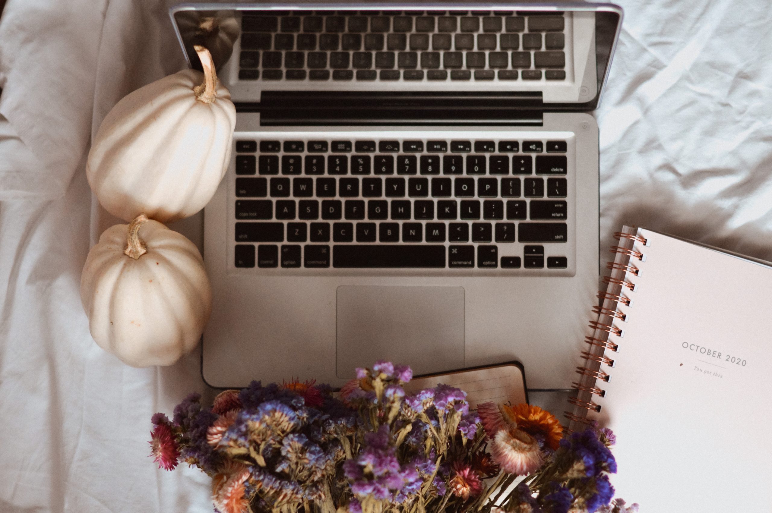 laptop, jesień, white pumpkin, biała dynia, study blog