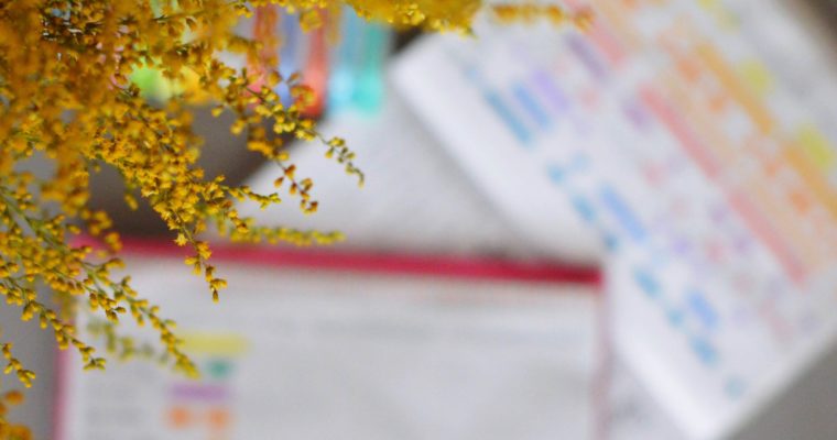 Habit tracker – magia kolorowanych kratek