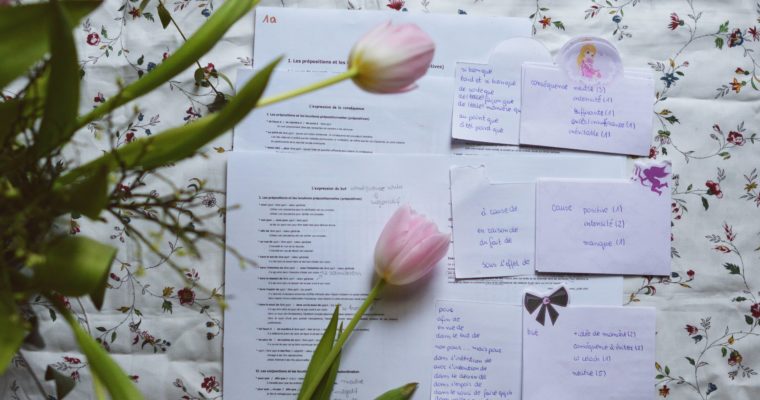 Jak wykorzystywać fiszki w nauce gramatyki?
