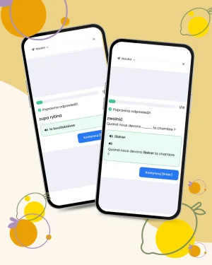 Alternative view of W podróży po francusku - kurs online GRUPOWY